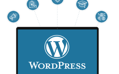 The Best WordPress Development Agency For Your Business