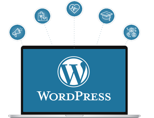 WordPress Development Agency