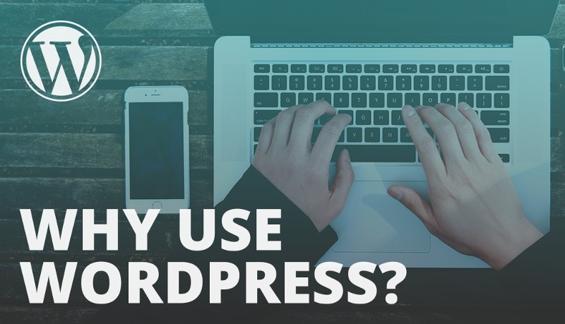 Important Reasons to Use WordPress in 2022