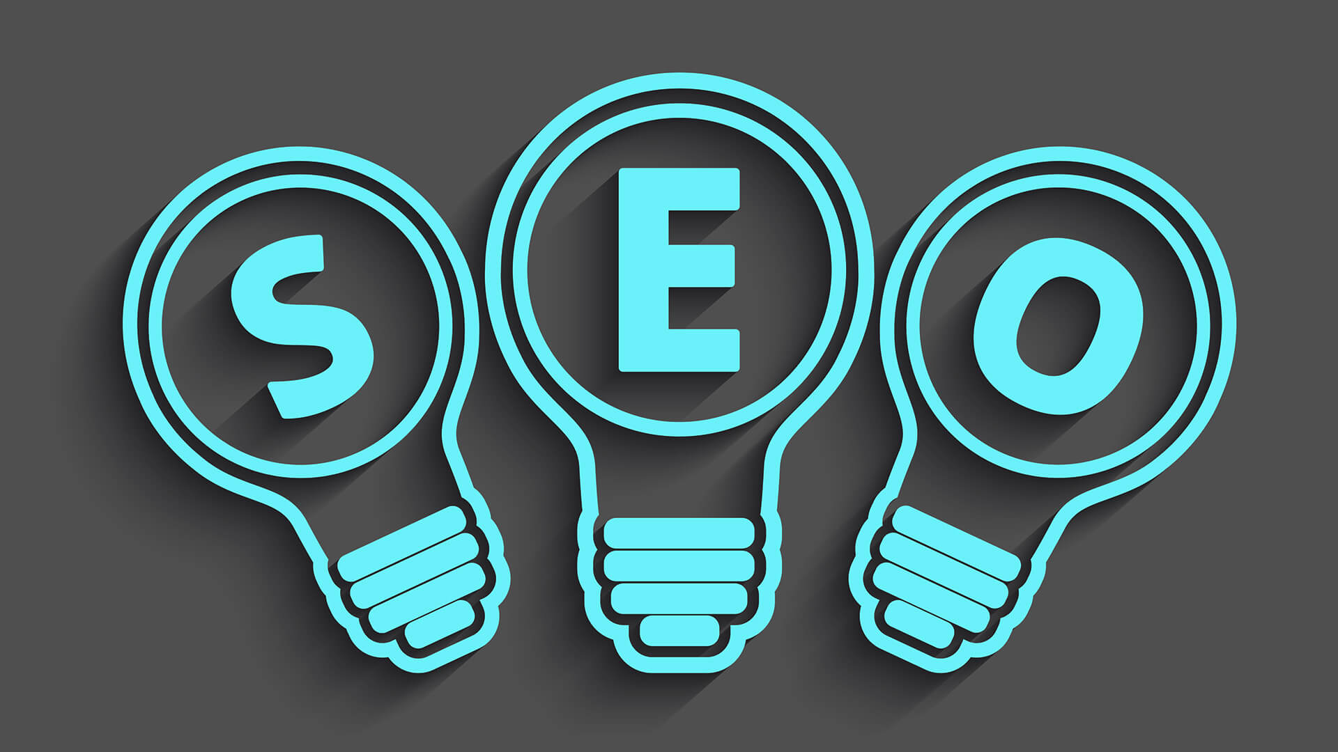 SEO Newbie